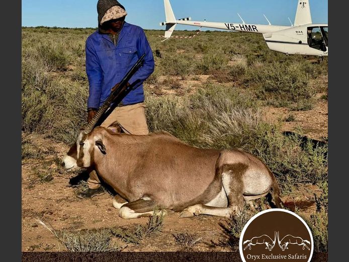 Copper Oryx Breeding | WATERBERG PLATO GAME BREEDERS