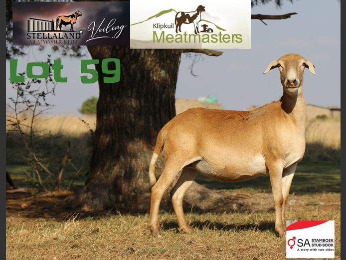 JAD1050 | Klipkuil Meatmasters