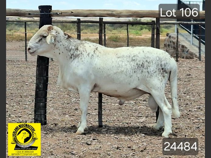 24484 | VERLAND MEATMASTERS