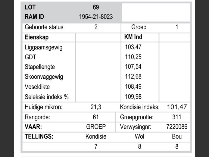 1954-21-8023