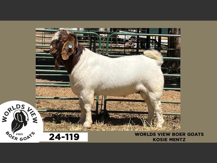 24-119  |  Kosie Mentz - Worlds View