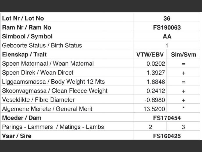 FS190063