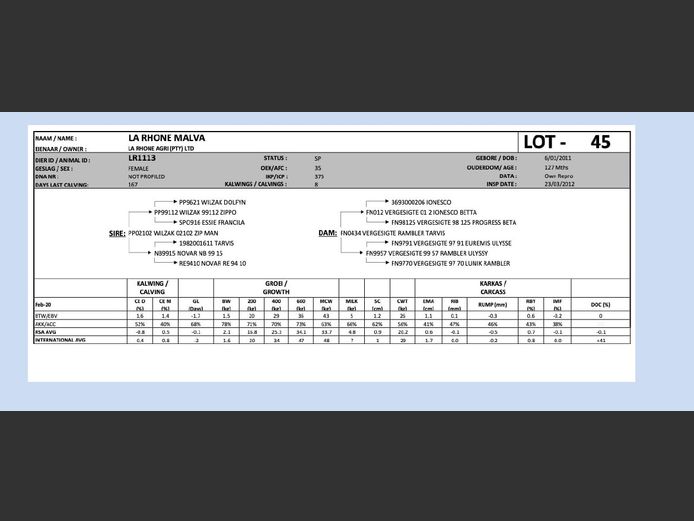 LR1113