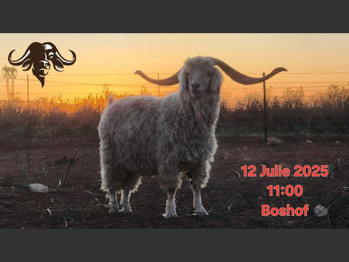 Bokram