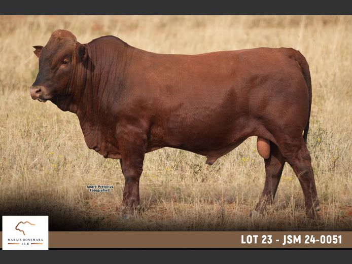 JSM 240051 | MARAIS BONSMARAS