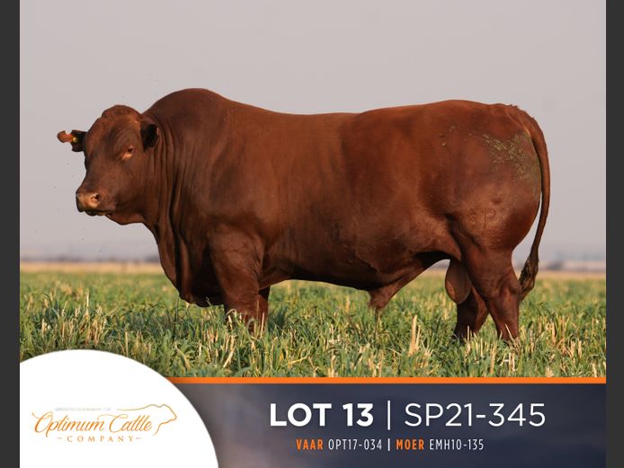 SP  210345