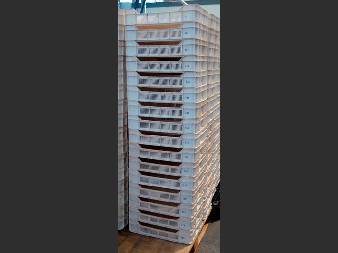 LOT OF 16: PLASTIC FRUIT CRATES