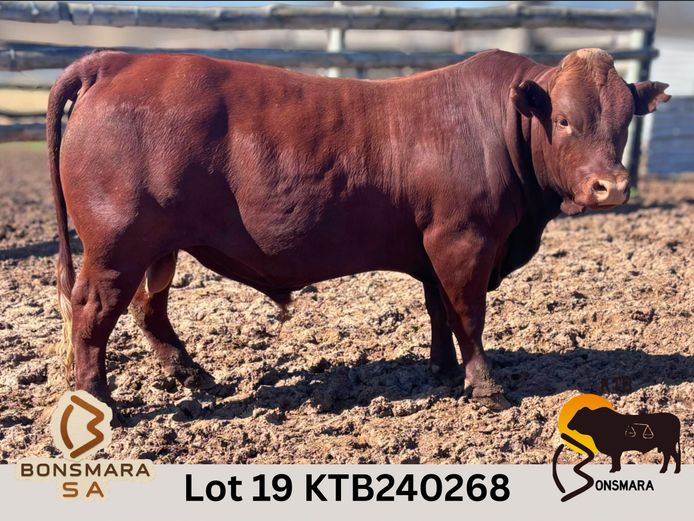 KTB240268 | BOTTERFONTEIN ESTATES CC