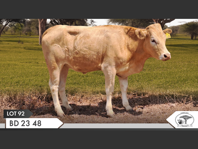 BD 230048 | VAN EYK FAMILIE TRUST