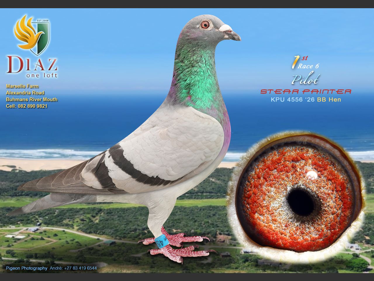 images