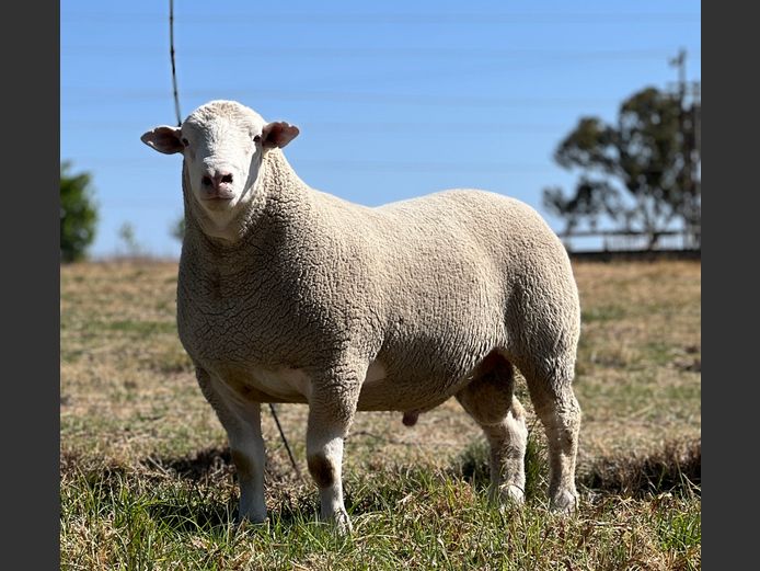 JB 240112 | J.A. BARNARD