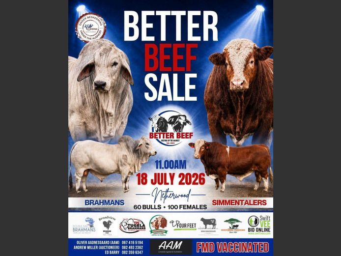 BETTER BEEF SALE