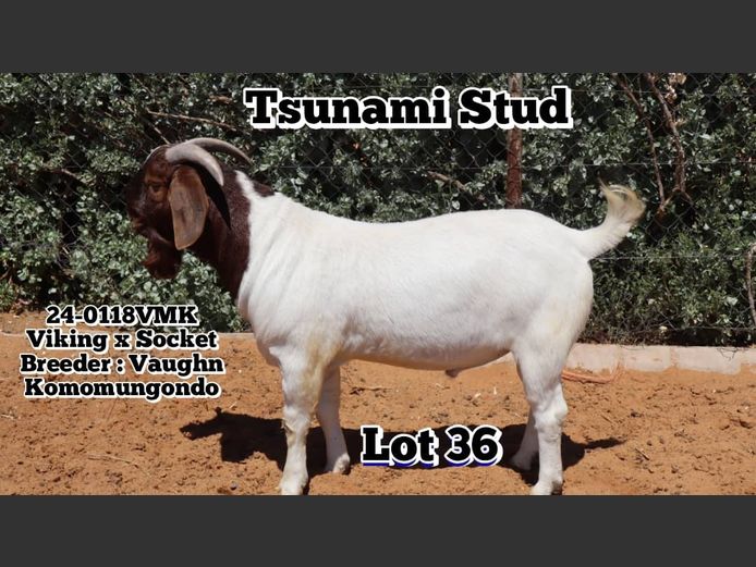 24-0118VMK | VAUGHN KOMOMUNGONDO