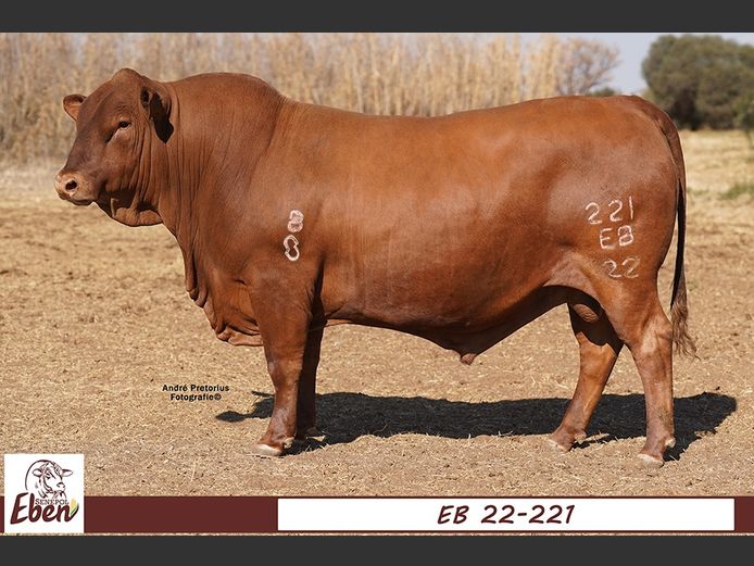 EB 220221 | EBEN SENEPOL