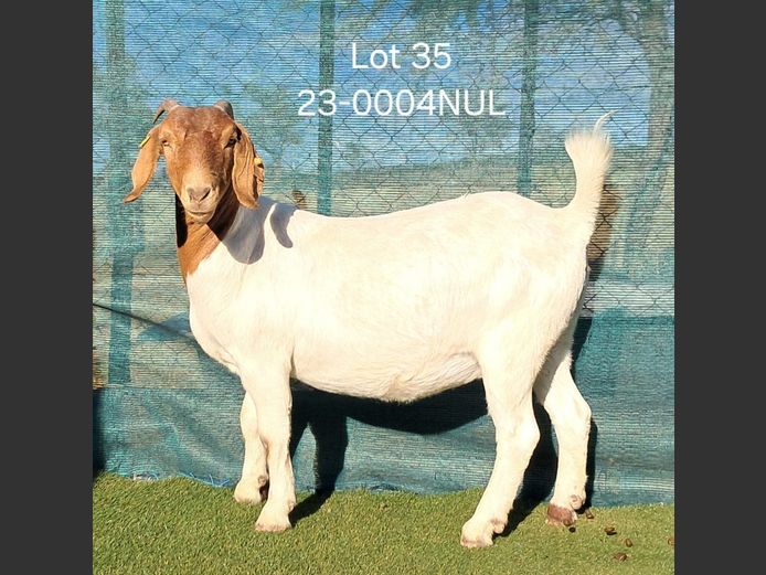 23-0004NUL | NICOLE ULRICH & EGBERT HOFF