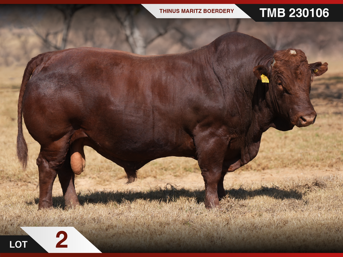 TMB 230106 HH(c) | THINUS MARITZ BOERDERY