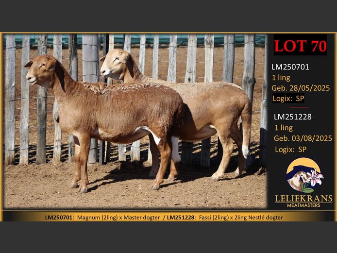 LM250701 | LELIEKRANS MEATMASTERS