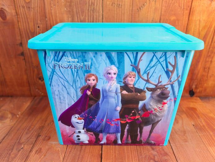 Disney Frozen II Storage Bin with Lid - Blue