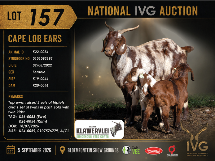 K22-0054 | Klawervlei Stud