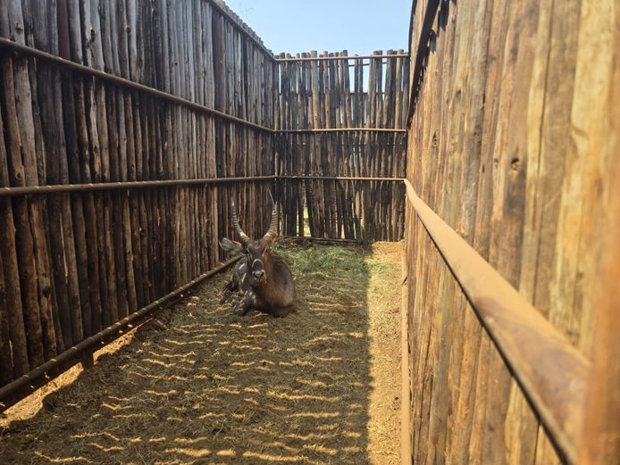 WATERBOK | HANLEY 1