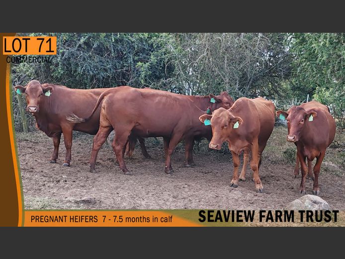 Commercial Animals | SEAVIEW FARM TRUST