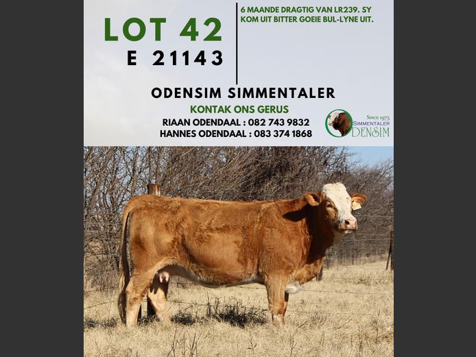 E21143 | AG ODENDAAL