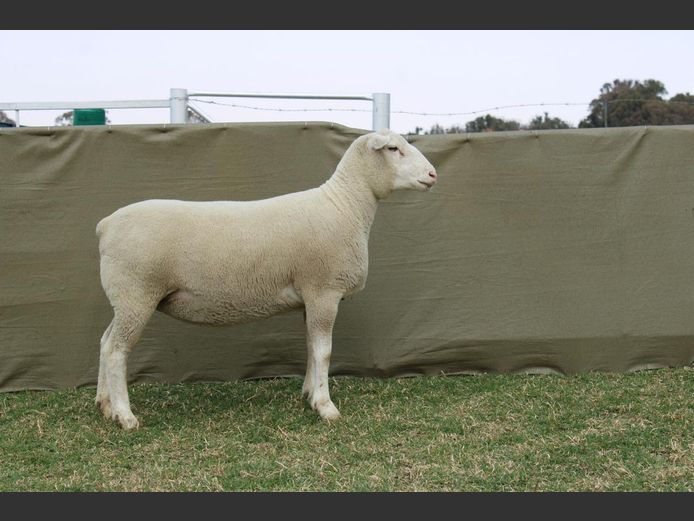 CVM 240014 | KALKVLEY DORMERS