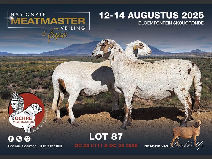 OC 23 0638 | AANGETEKEN | Boemie Saaiman - Ochre Meatmasters