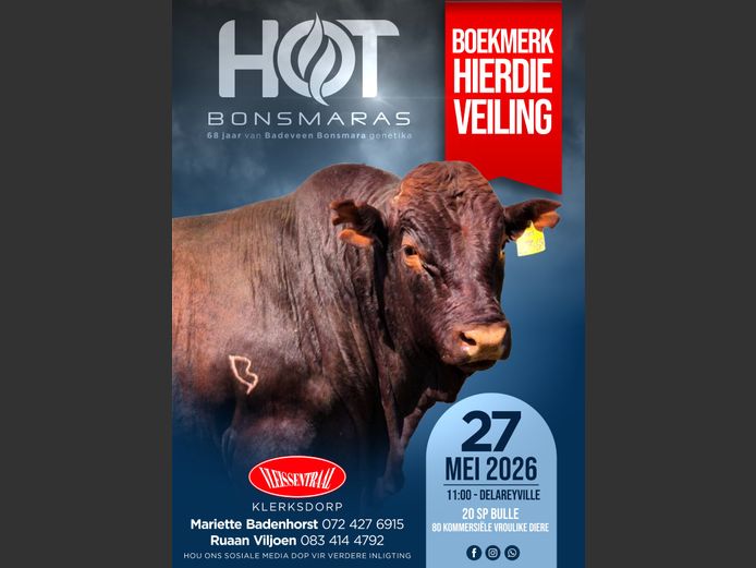 HOT BONSMARAS VEILING