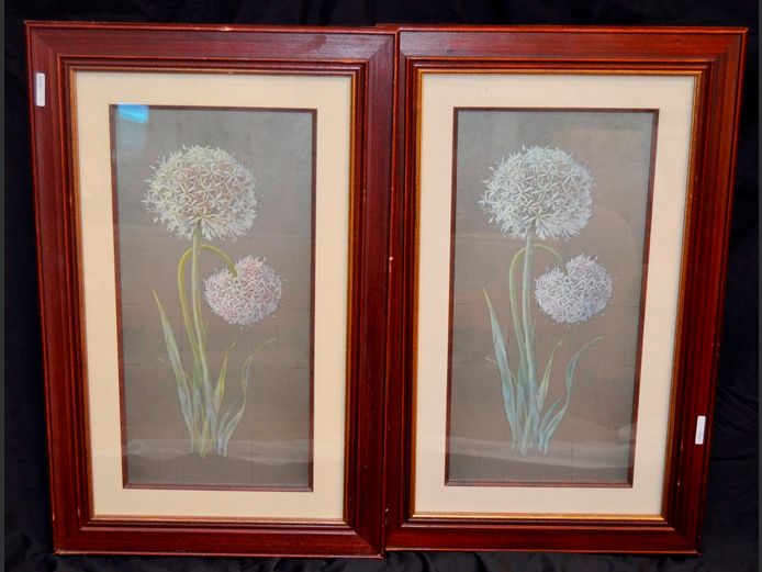 PAIR MAHOGANY FRAMED "FLOWER" PICTURES, 58 x 28cm