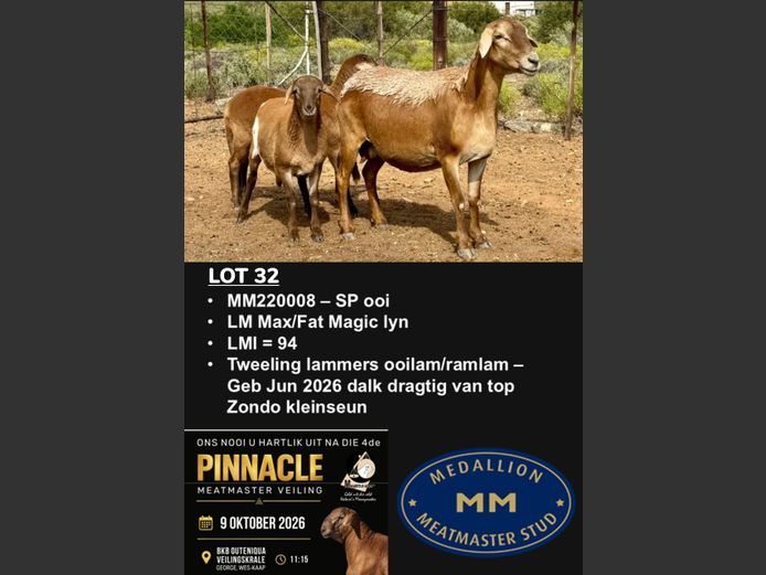 MM220008 | MEDALLION MEATMASTER STOET