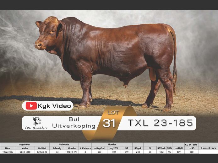 TXL23-185