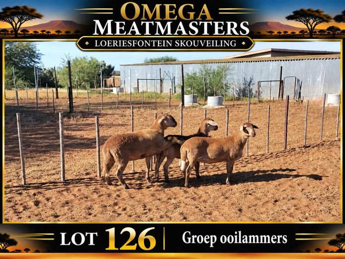 Omega Meatmasters