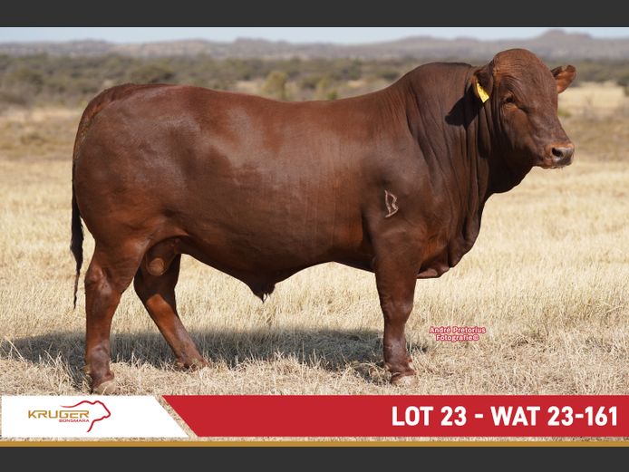 WAT230161 | KRUGER BOERDERY