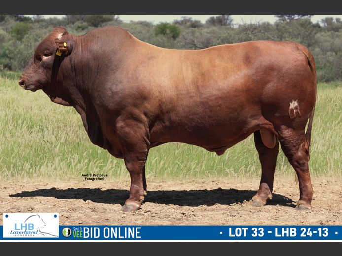 LHB 240013 | LEEUHEUWEL BOERDERY (EDMS) BPK