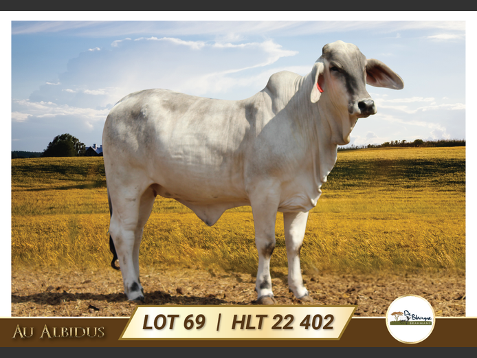 HLT22402 | TERBLANCHE LS