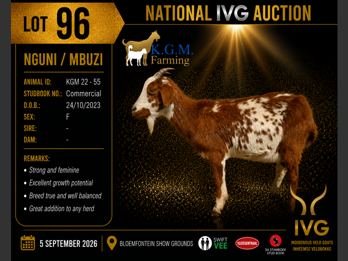 KGM 22-55 | KGM LIVESTOCK