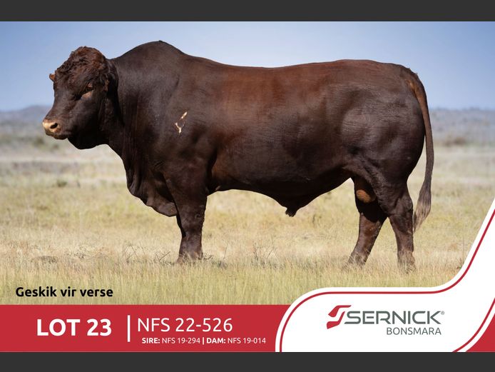 NFS 220526 | SERNICK BONSMARA STOET