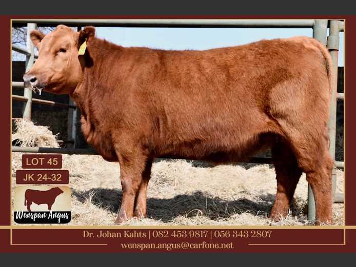 JK240032 | J. KAHTS