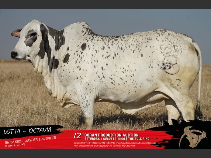 BH 220582 | HURWITZ FARMING