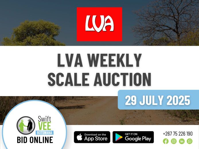 LVA WEEKLY SCALE AUCTION 