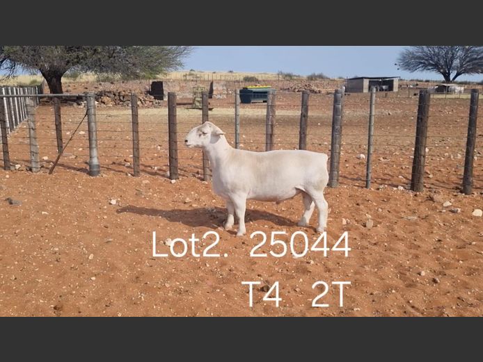 916250044W | R.J. CAHI & SON CC