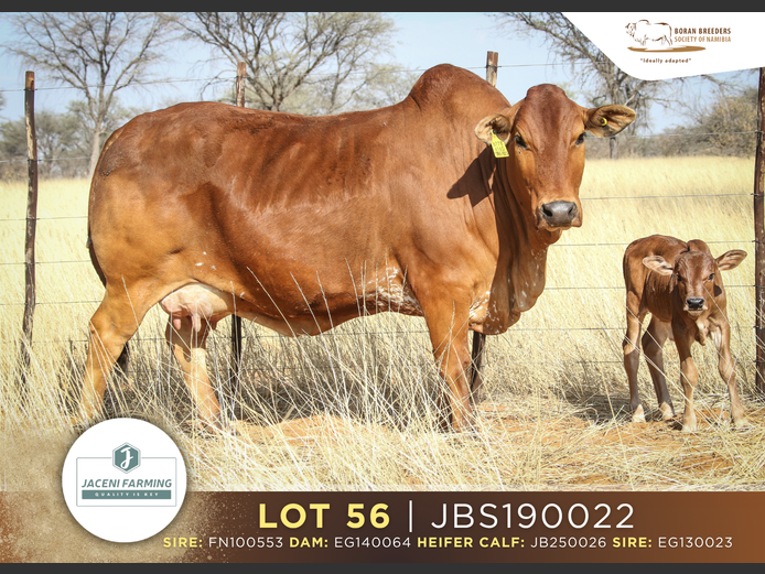 19-0022JBS | JACENI FARMING