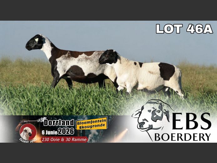 EBS 23 0084 | EBS Boerdery