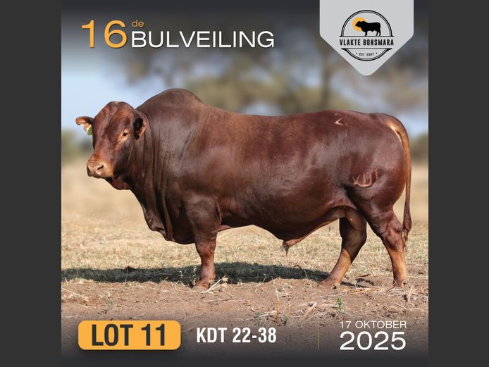 KDT 220038 | J.P.F. DU TOIT