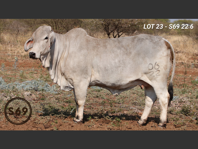 S69226 | JP Sakebelange BK