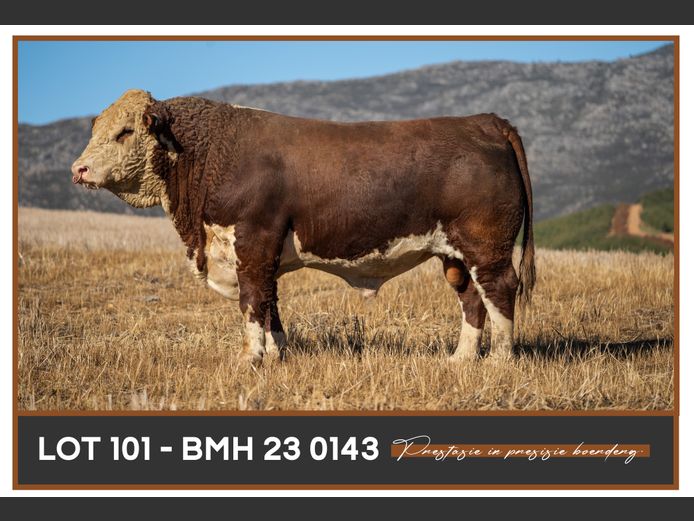 BMH 230143