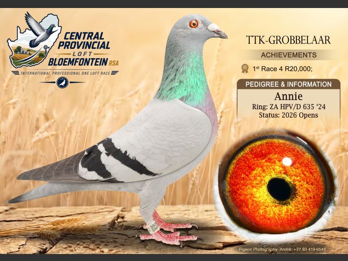 HPV/D 635 2024 | TTK-GROBBELAAR