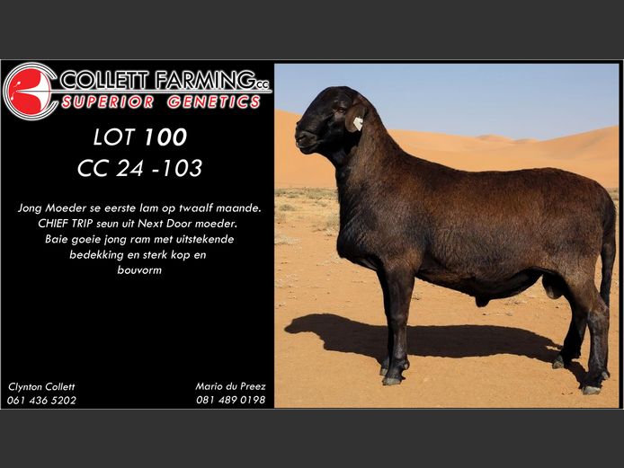 CC 240103 | COLLETT FARMING CC