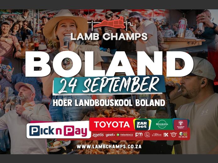 LAMB CHAMPS VEILING BOLAND
